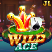 Wild Ace slot reels